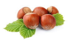 Noisettes