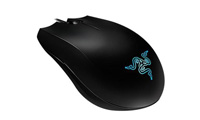souris naga